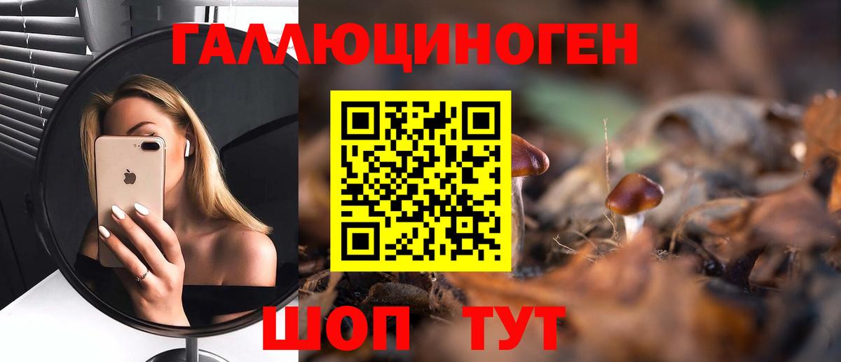 Мирный  Псилоцибиновые грибы Cubensis  Вход с VPN 